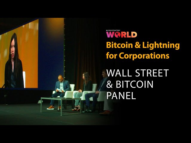 Wallstreet & Bitcoin Panel Session w/ Lyn Alden | Bitcoin For Corporations