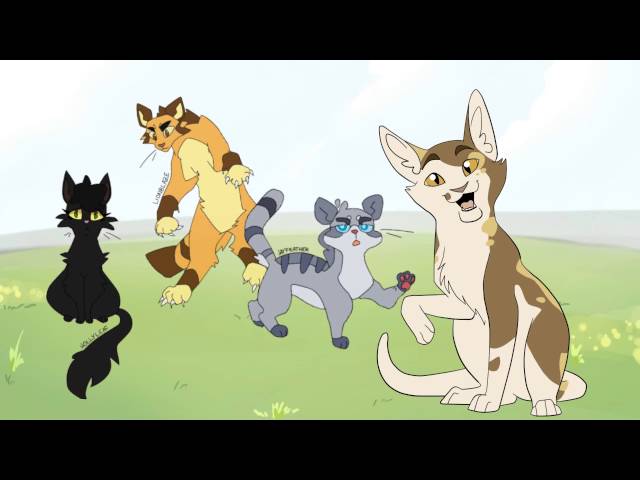Simmy Speaks - Hollyleaf and the Power of Productivity