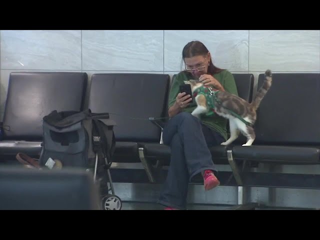 Homeless woman living at FLL now working at the airport, after 7News viewers stepped up to help