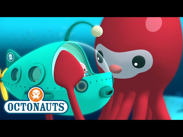 @Octonauts - The Giant Squid | Full Episode 6 | @OctonautsandFriends