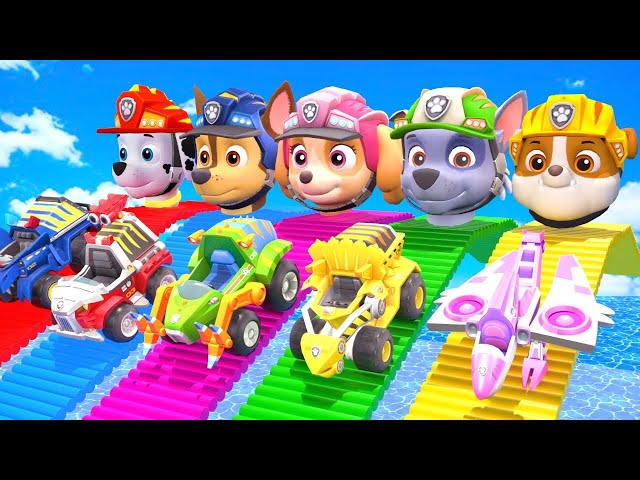 PAW Patrol Guess The Right Door ESCAPE ROOM CHALLENGE ESCAPE ROOM CHALLENGE Animals Cage Game #79