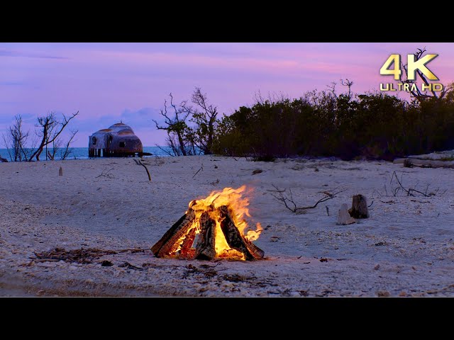 4K Sunset Beach with Campfire - Lapping Water Sounds for Sleep - Ocean Waves & Seagull Sounds