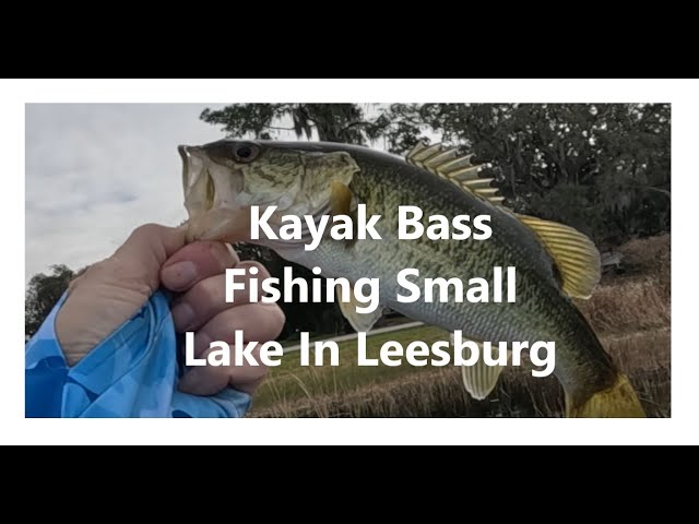 Bass Fishing In A Small Lake In Leesburg Feb 8 2024