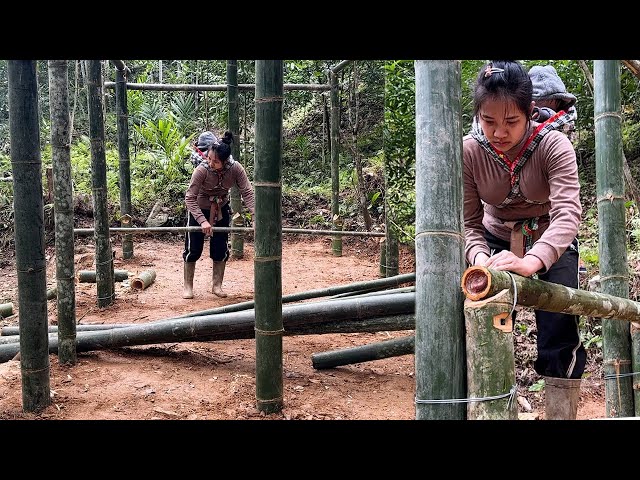Life of a 19 Year Old Single Mother - 3 Days Building the first new house with bamboo - Ly Tieu Hue