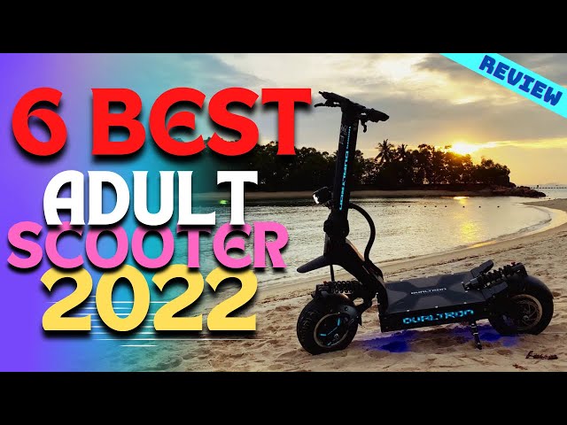 Best Adult Electric Scooters of 2022 | The 6 Best Adult Scooters Review