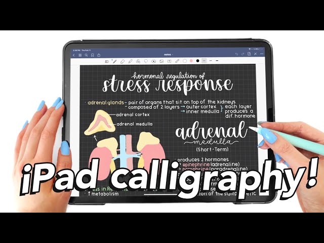 iPad calligraphy tutorial 🌷procreate, goodnotes, notability