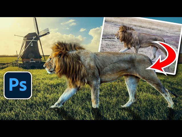 How to Combine Photos in Photoshop for beginners (compositing)