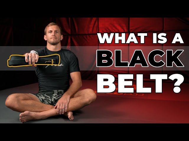 What Does It Mean To Be A Black Belt?