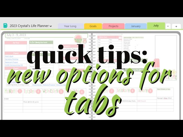 OneNote vertical and horizontal tabs layout options