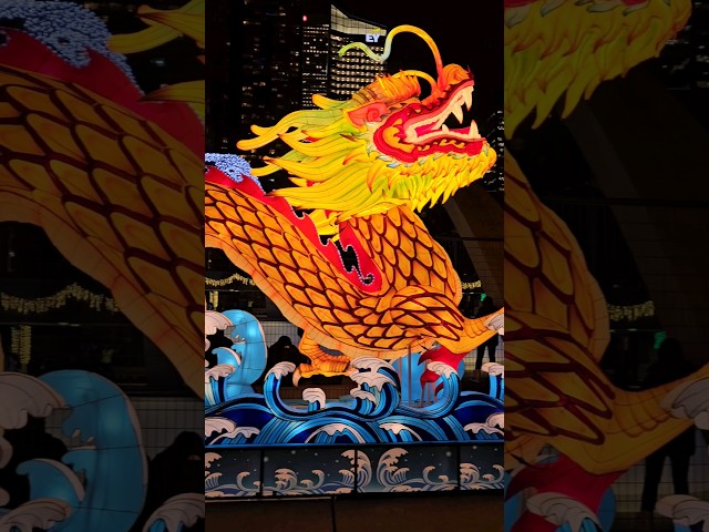 Year of the Dragon | Chinese New Year | Lunar New Year | Toronto, Canada 🇨🇦 #chinesenewyear #dragon