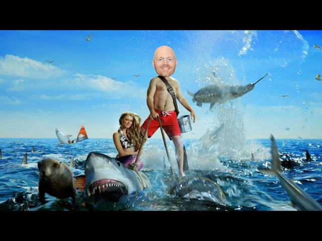 Bill Burr on Sharks