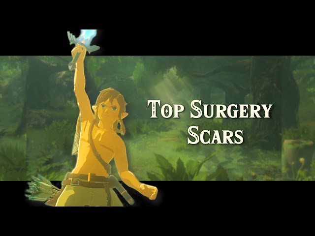 Top Surgery Scars | Zelda Breath of the Wild Mod
