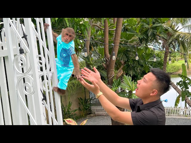 Cutis curious | Excited | Cutis reaction new house
