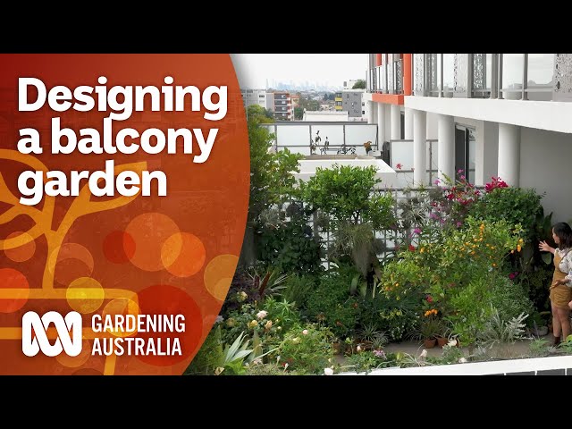 Downsizing from a large garden to a plant-filled balcony | Garden Inspiration | Gardening Australia