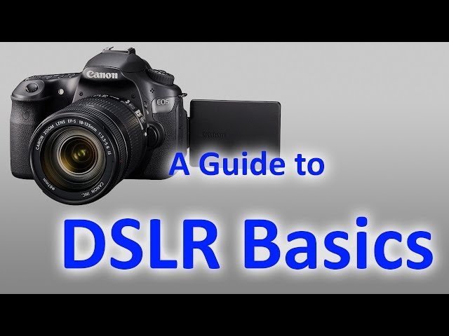 DSLR Basics - 01 Holding and Operating the Camera