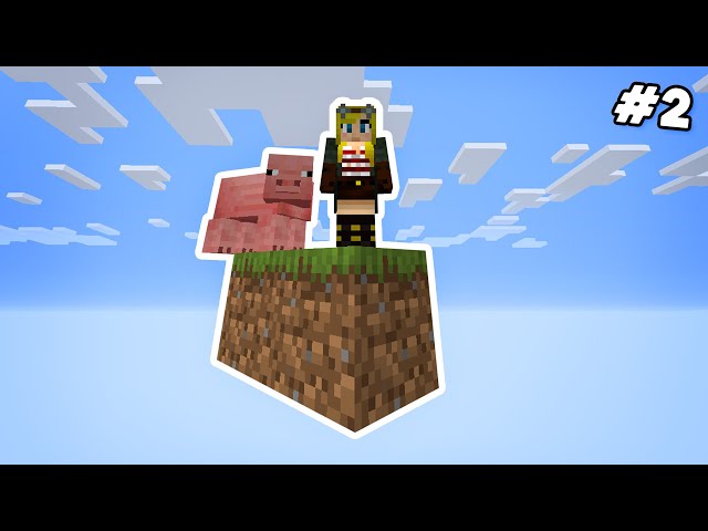 Minecraft Skyblock - but it’s just ONE BLOCK! #2