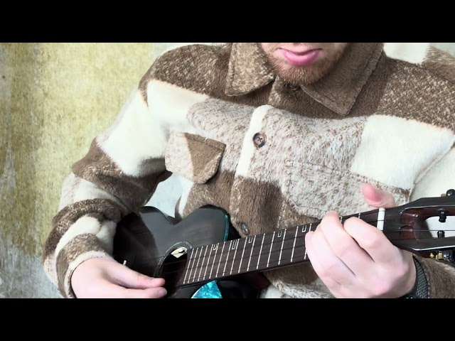 Blackbird (The Beatles) instrumental ukulele cover