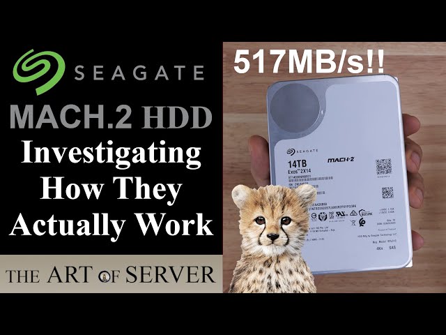 Seagate Mach.2 Dual Actuator HDDs | Investigating How They Actually Work