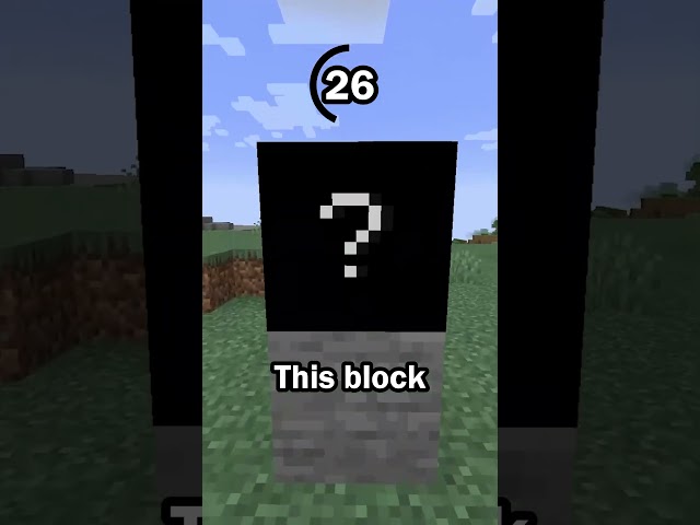 Guess the Minecraft block in 60 seconds 20