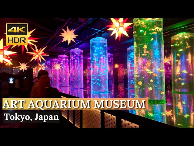 [TOKYO] Art Aquarium Museum "Life Inhabited Museum" | Walking Tour | Ginza | Japan [4K HDR]