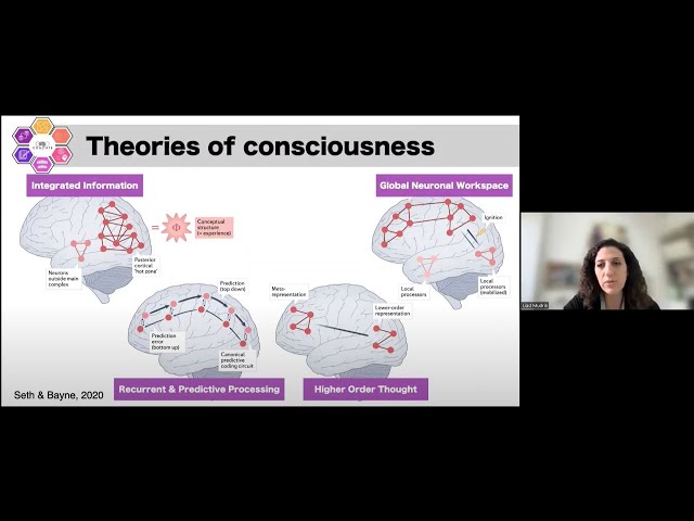 Prof Liad Mudrik on "Consciousness and the brain: comparing and testing neuroscientific theories .."