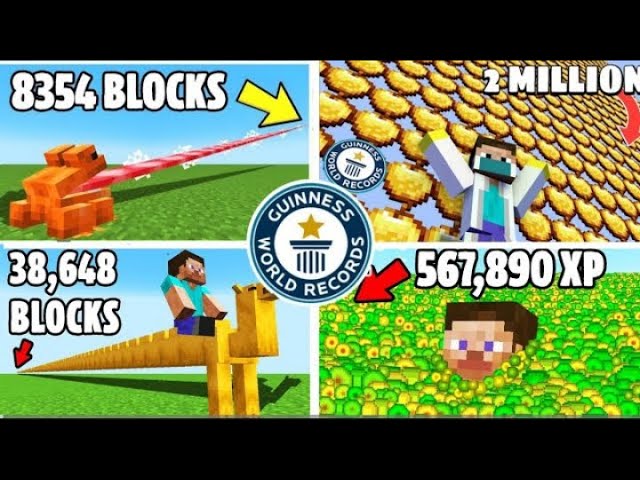 Top 5 World Record Made By Indian Youtubers In Minecraft #Minecraft #WorldRecord