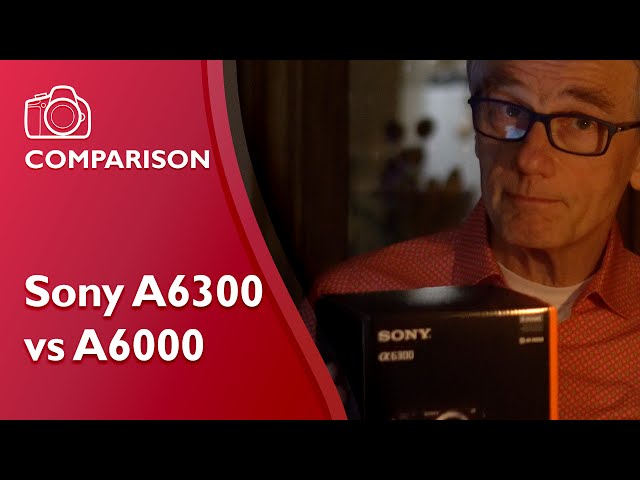 Sony A6300 vs A6000 comprehensive comparison and review