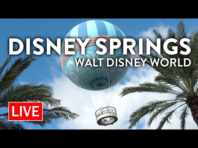 🔴 LIVE: An Evening at Disney Springs | Walt Disney World Live Stream