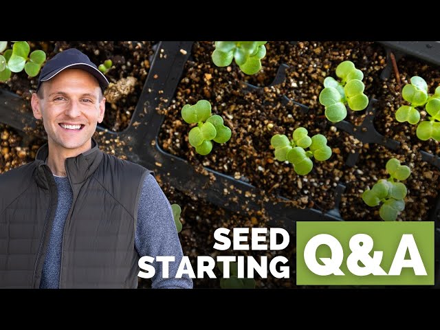 How to Start Seeds + YOUR Top 10 Questions on Starting Seeds
