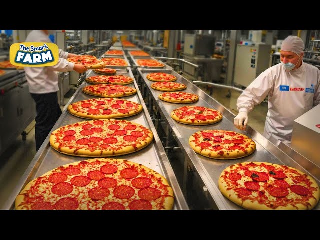 Frozen Pizza MEGA FACTORY: How Automation Produces TONS of Pizzas Daily