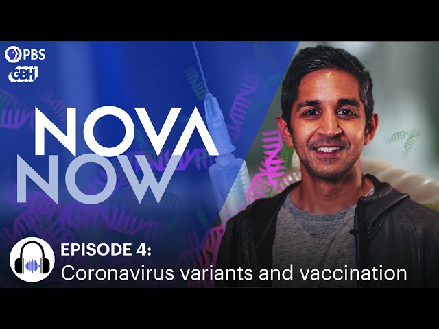 Covid Vaccines and Variants: What Will it Take to Get Out of This Pandemic?