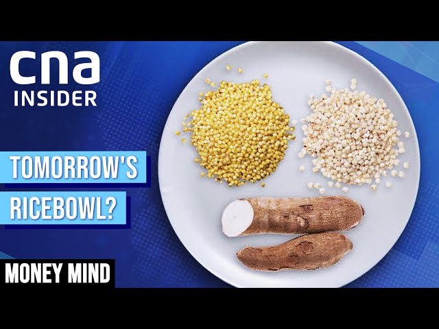 Will Rice Restrictions And Rising Prices Change The Way You Eat? | Money Mind | Inflation