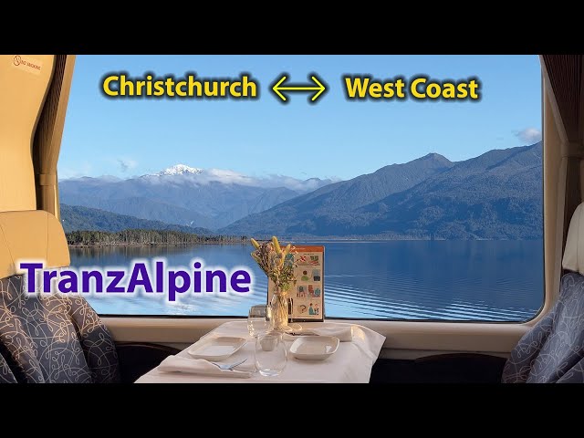Premium class on the TranzAlpine | Scenic Plus with restaurant quality food & drink