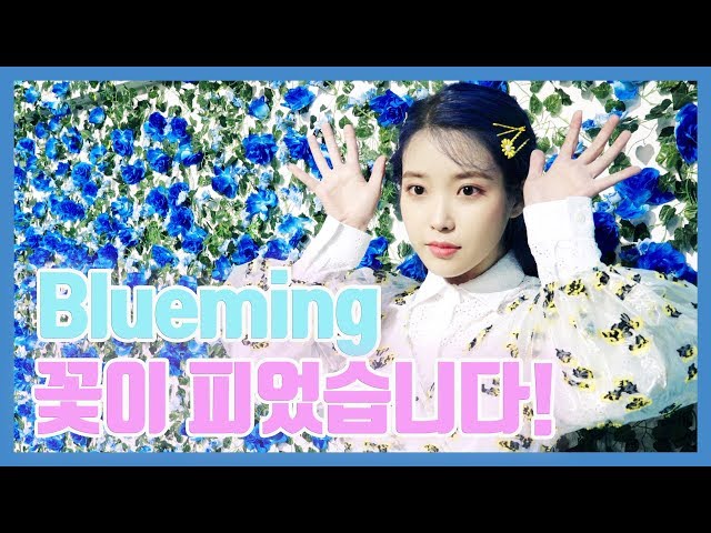[IU TV] Blueming 꽃이 피었습니다