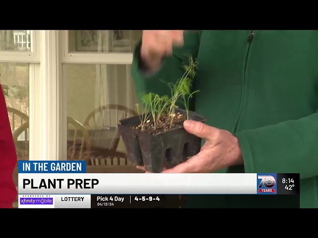 In the Garden: Plant Prep