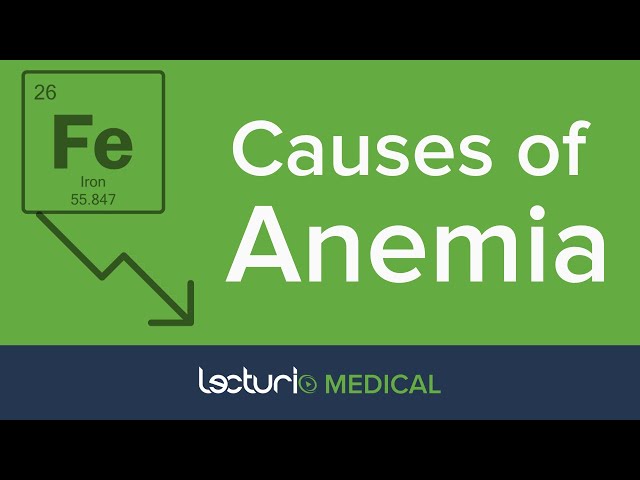 Which Anemia Is It? Red Blood Cell Disorders Explained