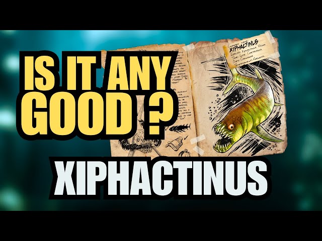 Xiphactinus Everything You Need To Know | Ark Survival Ascended