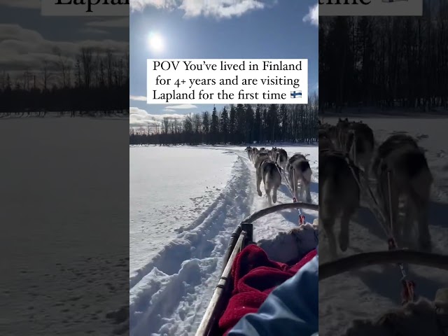 Husky ride in Finnish Lapland ❄️💙