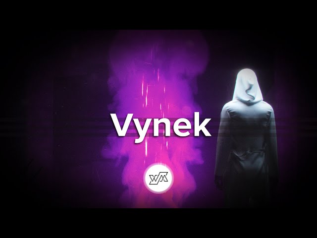 Vynek - Im Coming... (Techno - Wejustman Records)