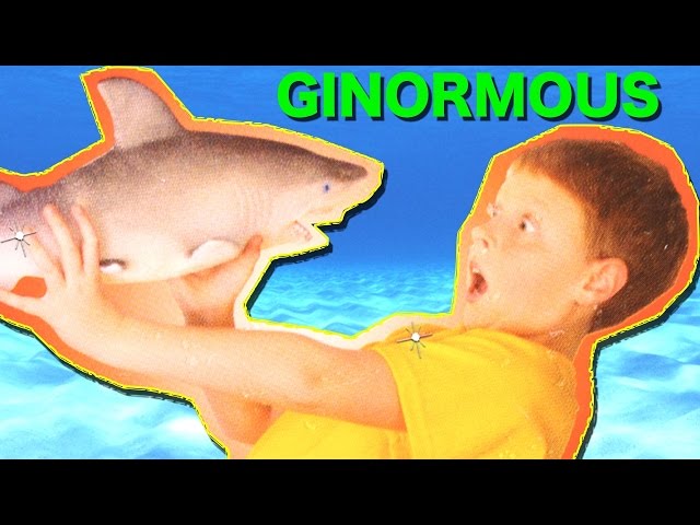 Giant Growing SHARK TOYS | Ginormous Grow Shark | Toy Sharks