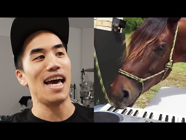 I wrote a song with a horse who plays piano
