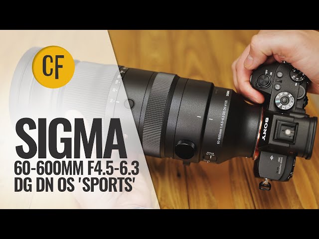 New: Sigma 60-600 DG DN OS 'Sports' lens review (Full-frame & APS-C)