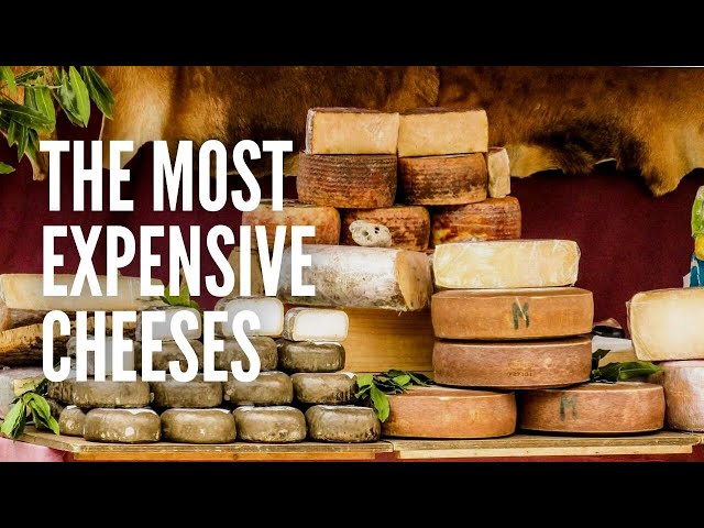 The 16 Most Expensive Cheeses in the World