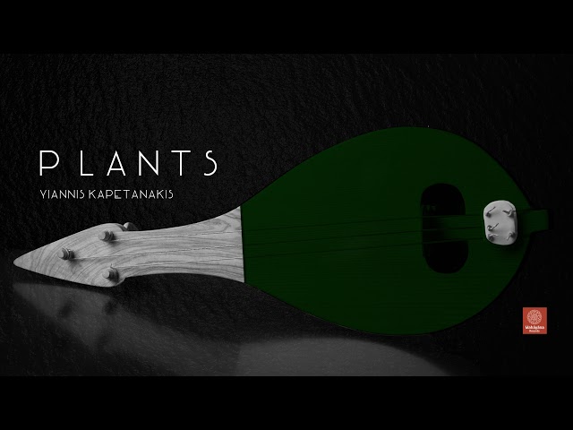 Yiannis Kapetanakis - Plants