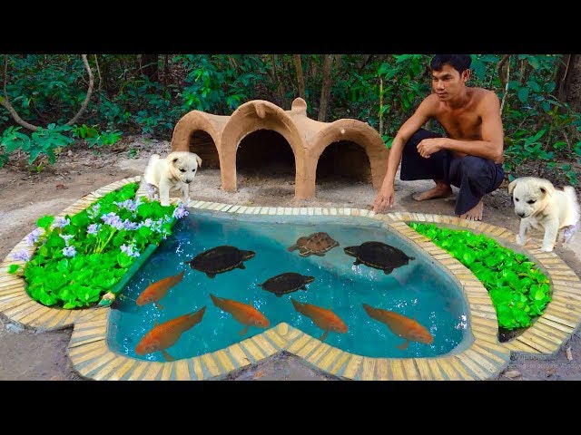 Feeding My Turtles Ready For Winter With Red fish Pond And Mud Dog House