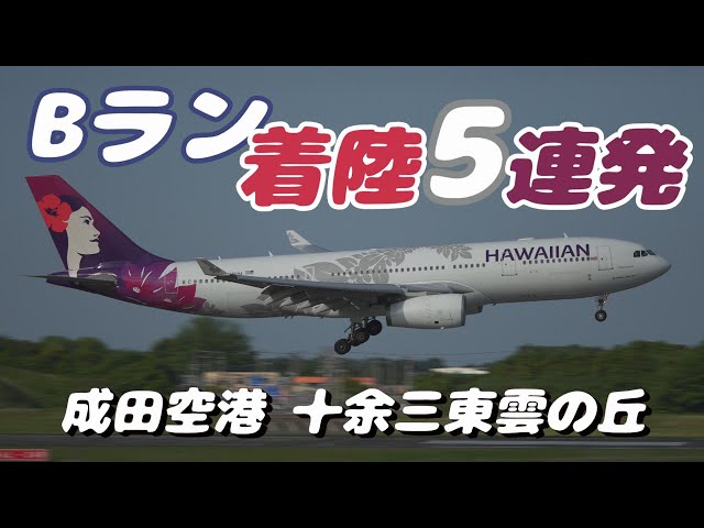 【4K】成田空港 十余三東雲の丘 Ｂランに着陸する飛行機６連発