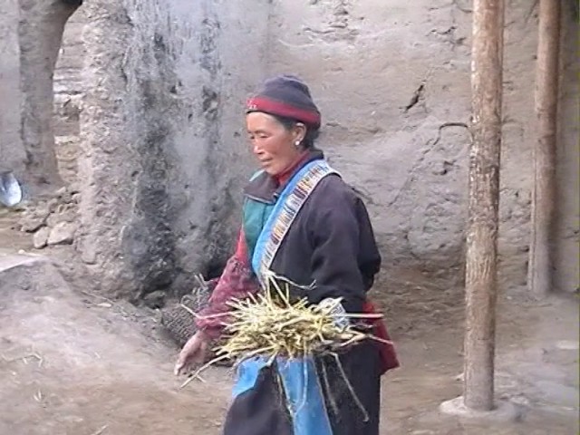Tibetan Woman's life