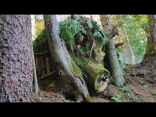 Building Warm Bushcraft Survival Shelter in the Forest, Fireplace, Catch and Cook, Solo Camping