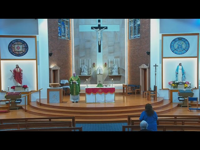 Catholic Mass for Tuesday of 9th Week in Ordinary Time - 4 June 2024 - 8am