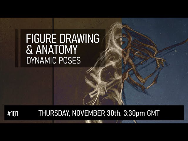 Figure Drawing & Anatomy - Dynamic Poses #101